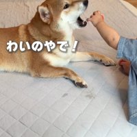 どちらも負けていません