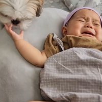 赤ちゃんが大好きなピコちゃん7