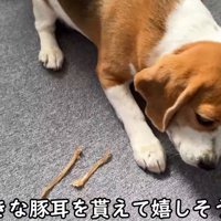 出勤前のママさんとメイちゃん7