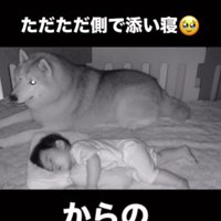 静かに寄り添うおじクマちゃん