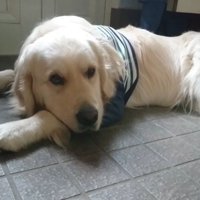 ギンちゃんの表情の変化3