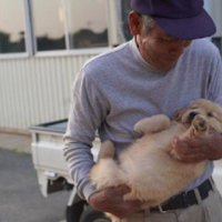 子犬のときから溺愛している