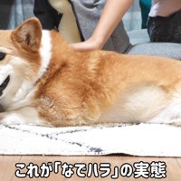 可愛くて憎めません♡