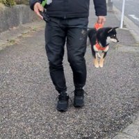 抱えられて横を向く犬2