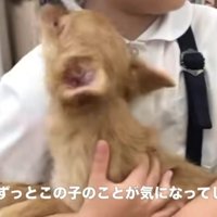 毎日会いに行った…