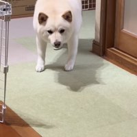 「もう帰っちゃうの？」