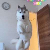 大ジャンプ！！