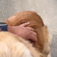 久々のナデナデを堪能