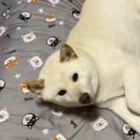 「待ってました」