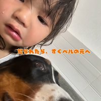 泣いている子供と大型犬