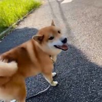 笑顔のぽてとくん