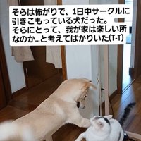 そらちゃんの変化5