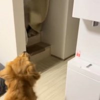 たくさん風船が出てきた時のさらちゃん
