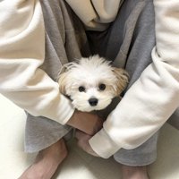 すっぽり