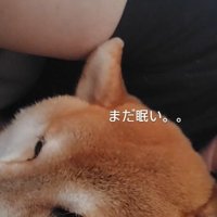 「まだねむたい…」