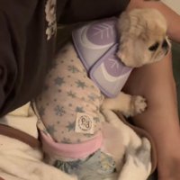 帰宅後はパパさんに慰めてもらいます