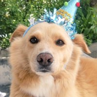 お誕生日