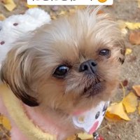 再度問いかけるママ