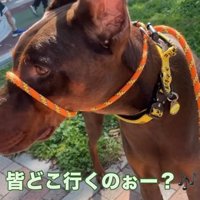 子どもが好きなよもぎくん