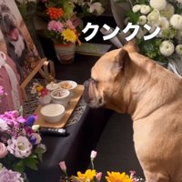 おやつが食べたい…