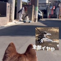 再登場したと思ったら…