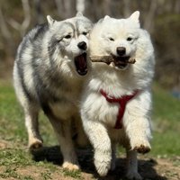 次は2匹で記念撮影かも！？