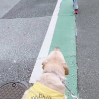 駆け寄る小学生たち