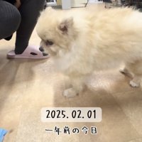 初めて出会った日