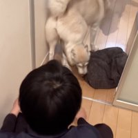 ここちゃんの下をくぐります