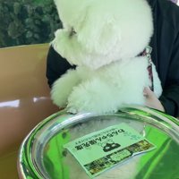 景色に釘付け