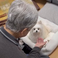 ハッ
