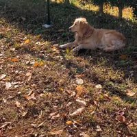 まったりと休憩