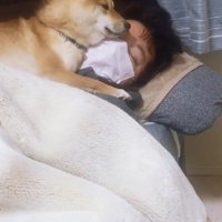 こたろうちゃんが寄り添う