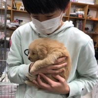 ピケちゃんとの出会い