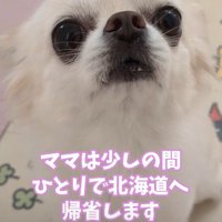 ママと5日間のお別れ