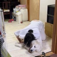 ドレミちゃんの成長5