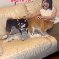 お姉ちゃん帰省時の小春ちゃん＆小太郎くん3