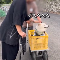 至れり尽くせりの時間…
