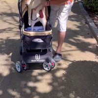 再びカートに乗せてあげたら…