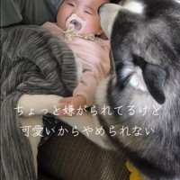 諭吉くんと赤ちゃん7