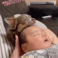 エルアちゃんと赤ちゃん4