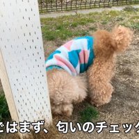 到着したら、匂いのチェック開始