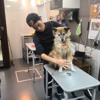 すぐに大人しくなりました