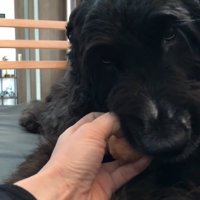 「誰にも渡さないぞ！」