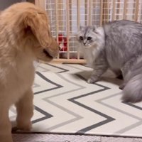 前傾体勢で回って…