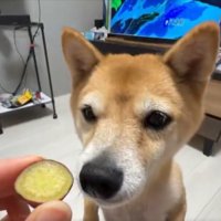 真剣