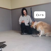 顔を出すそらくん