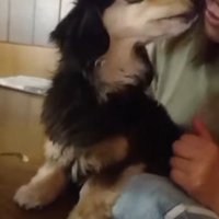 「くぅちゃんは？」