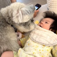 至近距離から見守るトトちゃん
