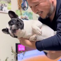 小型犬を抱っこする飼い主